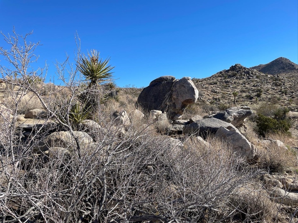 The town where I live