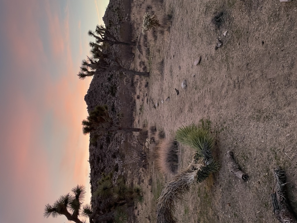 The User Experience / Holistic Product Development Tipping Point.