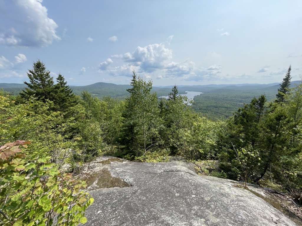 Organizational culture is the mycelium in your garden.