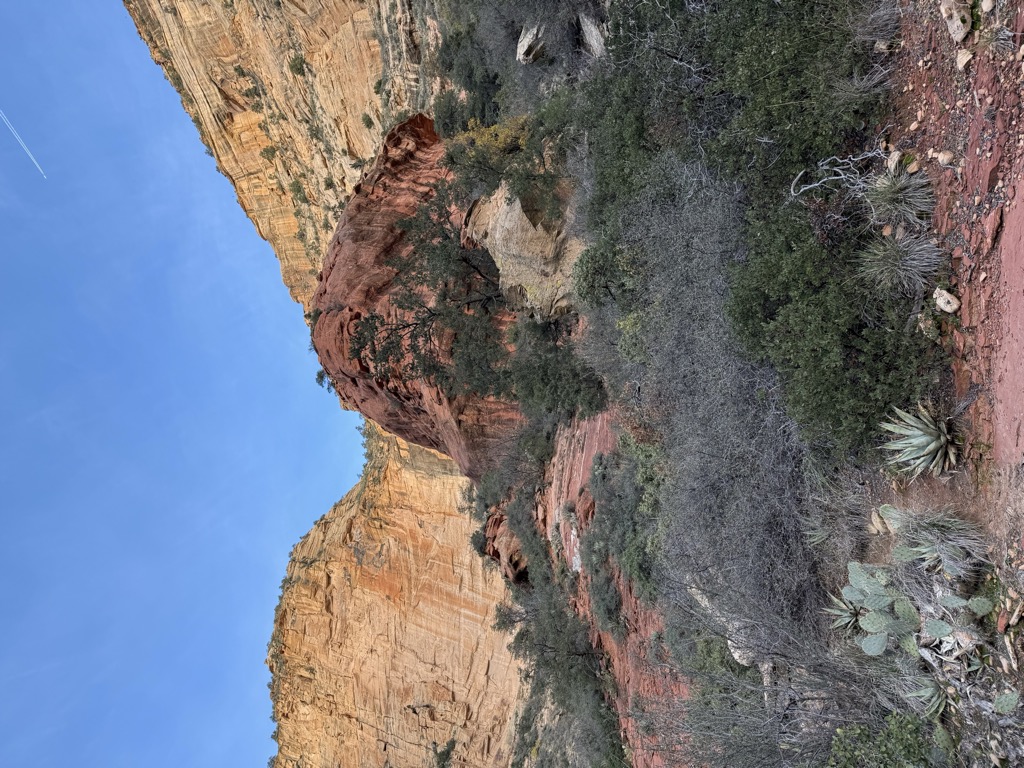 Burlington First Night Show!